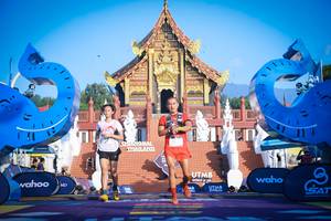 BIB: 
                            <button type="button" onclick="openModal(22658084)" class="btn btn-primary btn-sm float-right btn-popup" data-toggle="modal" data-target=".modal-high-quality">
                        <i class="fas fa-shopping-cart"></i> Add to Cart
                    </button>
                                            <button type="button" onclick="isThisMe(22658084, true)" class="btn btn-success btn-sm float-right btn-popup btn-isme hidden" data-toggle="tooltip" data-placement="bottom" title="นี่คือรูปของคุณใช่ไหม คลิกที่นี่เพื่อเอาเข้าอัลบั้ม">
                        <i class="fas fa-plus"></i> Add to album
                    </button>
                    <button type="button" onclick="isThisMe(22658084, false)" class="btn btn-warning btn-sm float-right btn-popup btn-isnotme hidden">
                        <i class="fas fa-ban"></i> Remove from album
                    </button>